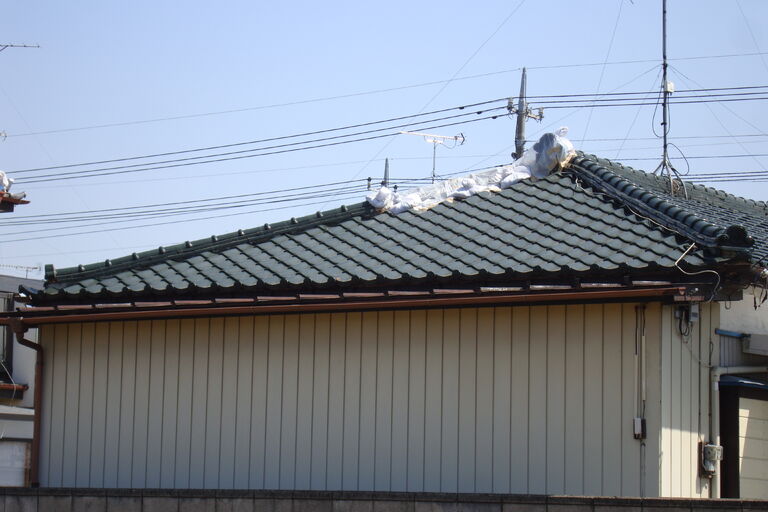 DSC06612