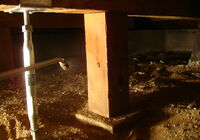 DSC01299