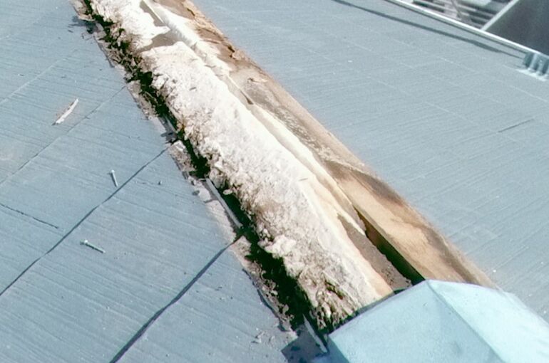 SNOW_20241012_102110_4381