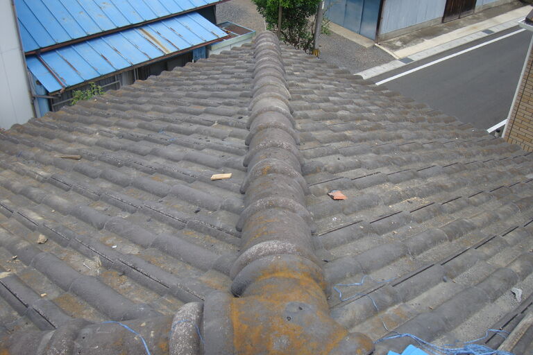 DSC07377
