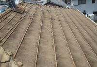 s-DSC00729